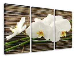 obraz-tryptyk-orchidea-bambusy-tryptyki-90x50