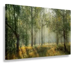 obraz-las-natura-widok-obrazy-canvas-120x80