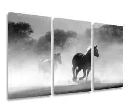 obraz-konie-kon-galop-obrazy-tryptyk-120x80