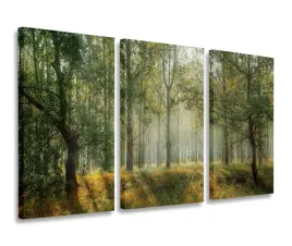 obraz-las-natura-widok-obrazy-tryptyk-120x80
