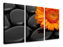 obraz-tryptyk-pomaranczowy-tryptyki-120x80