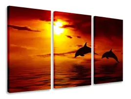 obraz-tryptyk-delfiny-tryptyki-120x80