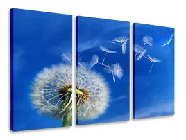 obraz-tryptyk-turkus-dmuchawiec-tryptyki-120x80