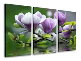 obraz-tryptyk-kwiaty-magnolie-tryptyki-120x80