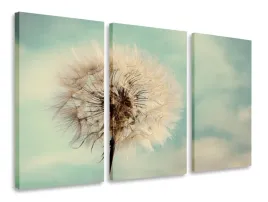 obraz-tryptyk-dmuhcawiec-tryptyki-120x80