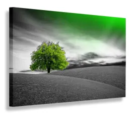 obraz-drzewo-zielone-obrazy-canvas-120x80