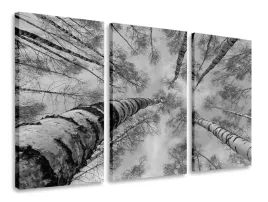 obraz-tryptyk-drzewo-tryptyki-120x80