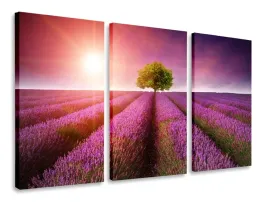 obraz-tryptyk-lawendowe-pole-tryptyki-120x80