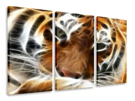 obraz-tryptyk-tygrys-tryptyki-120x80