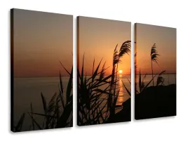 obraz-tryptyk-jezioro-trzciny-tryptyki-120x80