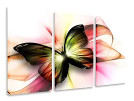 obraz-tryptyk-motyl-tryptyki-120x80