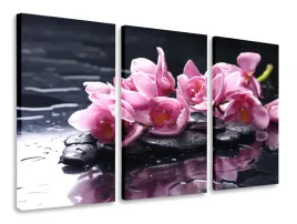 obraz-tryptyk-kwiaty-kamienie-tryptyki-120x80