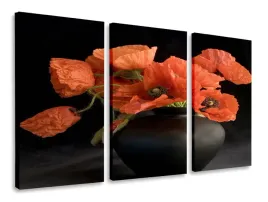 obraz-tryptyk-maki-tryptyki-120x80