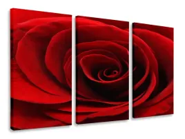 obraz-tryptyk-kwiaty-roza-tryptyki-120x80