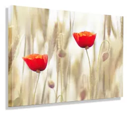 obraz-czerwone-maki-120x80-do-salonu