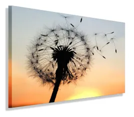 obraz-dmuchawiec-120x80-do-salonu