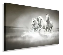 obraz-konie-rumaki-120x80-do-salonu
