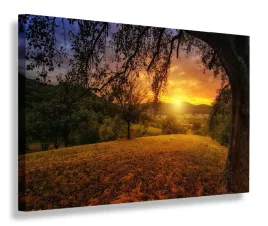 obraz-led-120x80-canvas-lights-zachod-slonca-pole