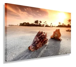 obraz-muszle-muszla-plaza-120x80-do-salonu
