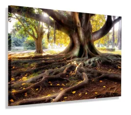 obraz-drzewa-drzewo-konar-120x80-do-salonu