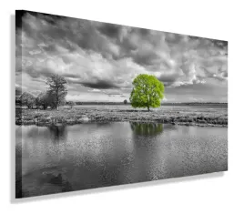 obraz-pejzaz-drzewo-widok-120x80-do-salonu