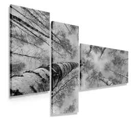 obraz-tryptyk-150x100-drzewo-nowoczesny