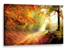 obraz-led-120x80-podswietlenie-sloneczny-las