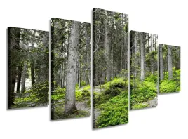 obraz-gigant-las-natura-szary-zielony-150x100