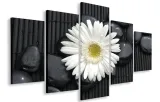 obraz-gigant-bialy-kwiat-150x100-plotno
