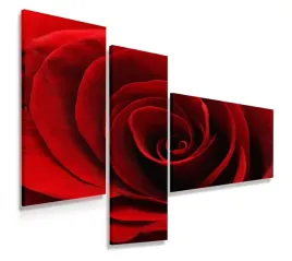 obraz-tryptyk-150x100-kwiaty-roza-nowoczesny