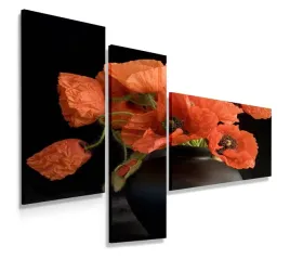 obraz-tryptyk-150x100-maki-nowoczesny