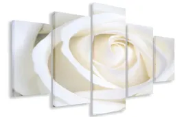 obraz-gigant-kremowa-roza-150x100-plotno