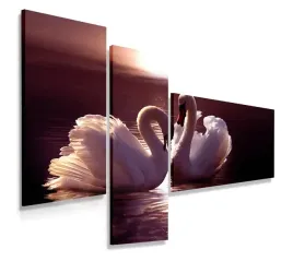 obraz-tryptyk-150x100-dwa-labedzie-nowoczesny