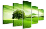 obraz-gigant-zielone-pole-150x100-plotno
