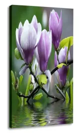obraz-pionowy-magnolie-30x60-kwiaty
