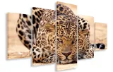 obraz-gigant-dzikie-koty-150x100-plotno