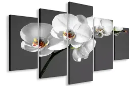 obraz-gigant-storczyk-bialy-150x100-plotno