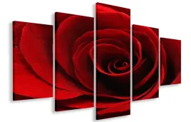 obraz-gigant-kwiaty-roza-150x100-plotno