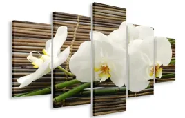 obraz-gigant-orchidea-bambusy-150x100-plotno