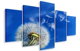 obraz-gigant-turkus-dmuchawiec-150x100-plotno