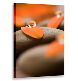 obraz-pionowy-kamienie-krople-80x120-w-pionie