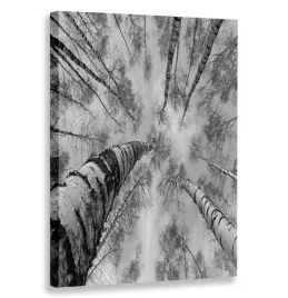 obraz-pionowy-drzewo-80x120-w-pionie