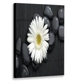 obraz-pionowy-bialy-kwiat-60x90-w-pionie