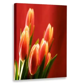 obraz-pionowy-kwiaty-80x120-w-pionie