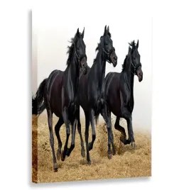 obraz-pionowy-konie-60x90-w-pionie