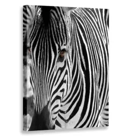 obraz-pionowy-zebra-80x120-w-pionie
