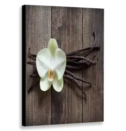 obraz-pionowy-kwiat-na-deskach-80x120-w-pionie