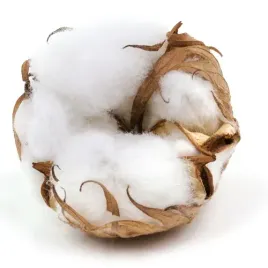 zapach-czysta-bawelna-clean-cotton-250ml