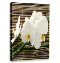 obraz-pionowy-orchidea-bambusy-80x120-w-pionie