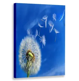 obraz-pionowy-turkus-dmuchawiec-80x120-w-pionie